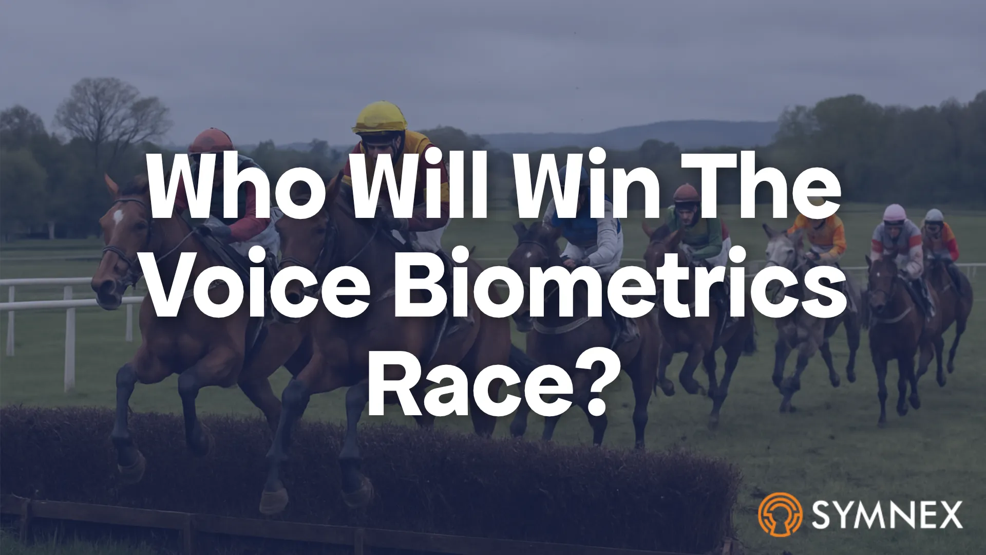 Who Will Win The Voice Biometrics Race?
